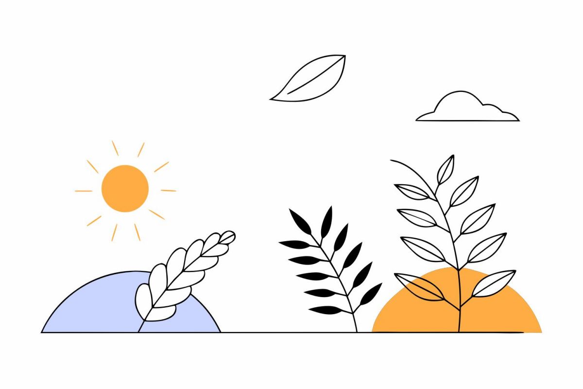 Flat nature vector illustration with leaves, plants, sun and organic shapes
