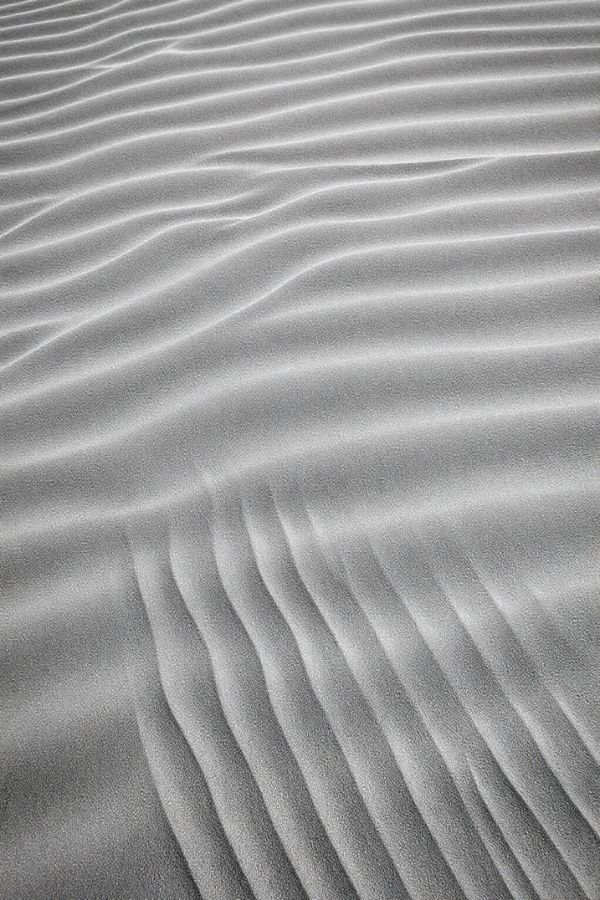 High-contrast black and white image showing rippled sand dune textures with flowing lines and soft shadows, creating an abstract natural pattern.